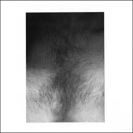 Krube. - Untitled