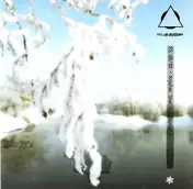 Krystian Shek - Eisblumen