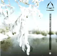 Krystian Shek - Eisblumen