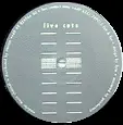Kwass - Live Cuts