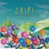 LP - Kurt Rosenwinkel - Caipi