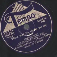 Kurt Widmann / Erich Bergau - Haben Sie Schon Mal Im Dunkeln Geküsst? / Wann Wirst Du Wieder Bei Mir Sein?