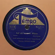 Kurt Widmann Und Sein Orchester - Auf Der Grünen Wiese / Ich Hör' So Gern Musik