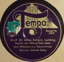 Schellack - Kurt Widmann Und Sein Orchester Gesang: Michael Hofer - Mach Dir Keine Sorgen, Liebling / Schön, Daß Du Wieder Bei Mir Bist