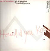 Kurtis Mantronik - How Did You Know?