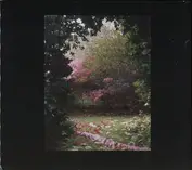 Not On Label (Kuroma Self-released)