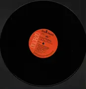 Double LP - L. Rosenman; H.Mancini; V.Young; R.Rodgers; M.Steiner - Love Story - Screen music collection by Electone - OBI incl.