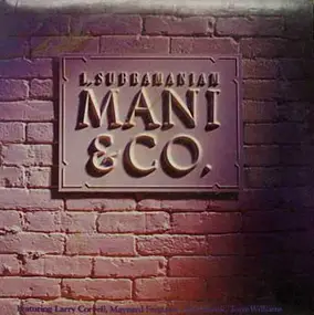 L. Subramaniam - Mani & Co.