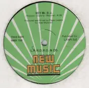12inch Vinyl Single - L.A.N.D.R.O. & Co. - Hey Mr. D.J.