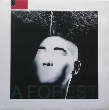 L.W.S. - A Forest