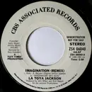 7inch Vinyl Single - La Toya Jackson - Imagination (Remix)
