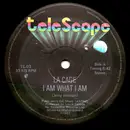 12inch Vinyl Single - La Cage - I Am What I Am