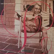 Double LP - Lambchop - I Hope You're Sitting Down