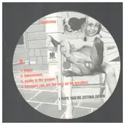 Double LP - Lambchop - I Hope You're Sitting Down