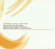 CD Single - Lambchop - Something's Going On