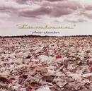 CD - Laminar - Ante-Chamber