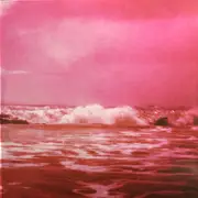 Double LP - Lana Del Rey - Did You Know That There's A Tunnel Under Ocean Blvd - Dark Pink Vinyl, Alternative Artwork