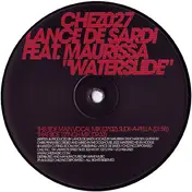 Lance DeSardi - WATERSLIDE