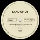 12inch Vinyl Single - Land Of Oz - Unchained Melody - Promo