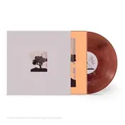 land of talk - Performances