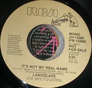 7inch Vinyl Single - Landscape - It's Not My Real Name - Promo
