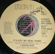 7inch Vinyl Single - Landscape - It's Not My Real Name - Promo