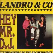 12'' - Landro & Co - Hey Mr. D.J.