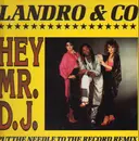 12'' - Landro & Co - Hey Mr. D.J.