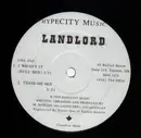 12'' - Lanlord - I Want It / Tease-Me - RARE