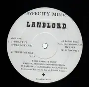 12'' - Lanlord - I Want It / Tease-Me - RARE