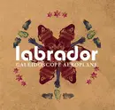 CD - Labrador - Caleidoscope Aeroplane - DigiSleeve