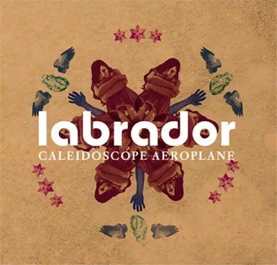 Labrador - Caleidoscope Aeroplane