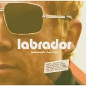 Labrador - Instamatic Lovelife