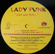 12inch Vinyl Single - Lady Funk - Can You Feel...