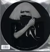 LP - Lady Gaga - Fame Monster - Picture Disc