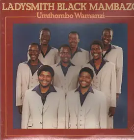 Ladysmith Black Mambazo - Umthombo Wamanzi