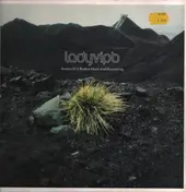 Ladyvipb - Stories Of A Broken Heart And Recovering
