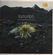 Double LP - Ladyvipb - Stories Of A Broken Heart And Recovering