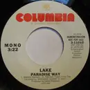 7inch Vinyl Single - Lake - Paradise Way