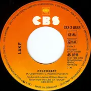 7inch Vinyl Single - Lake - Celebrate