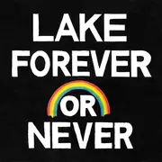 LP - Lake - Forever Or Never