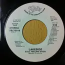 7inch Vinyl Single - Lakeside - Still Feeling Good