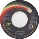 7inch Vinyl Single - Lakeside - Relationship