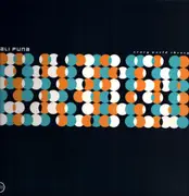 LP - Lali Puna - Scary World Theory