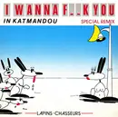 12'' - Lapins-Chasseurs, Lapins Chasseurs - I Wanna F..k You In Katmandou (Special Remix)