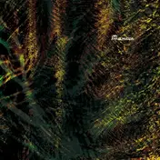 Laps - Joyful Process