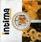 12inch Vinyl Single - Lapse - Goodbye My Love