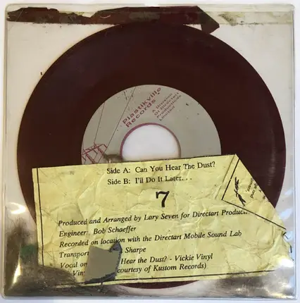 Lary Seven - Can You Hear The Dust / I'll Do It Later