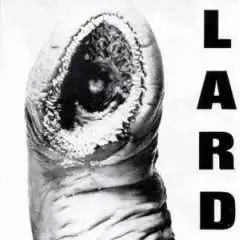 LARD - THE POWER OF LARD