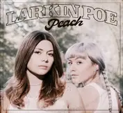 larkin poe